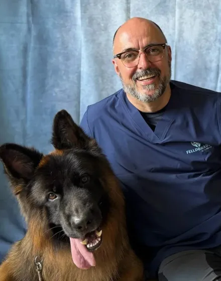 Wolfgang mit einem Deutschen Schäferhund im Salon